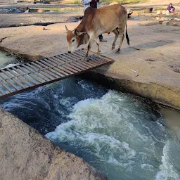 Chaparai Water Cascade