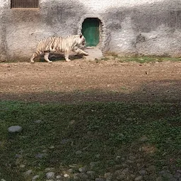 Chattbir Zoo park