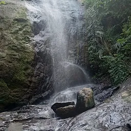 Chelikkuzhy Waterfalls