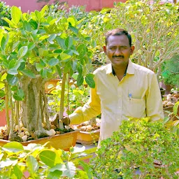 Chennai Bonsai Club