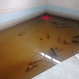 Chennai Public Aquarium