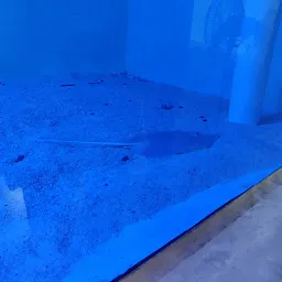 Chennai Public Aquarium