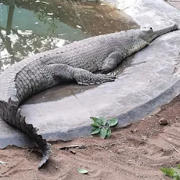 Chennai Snake Park