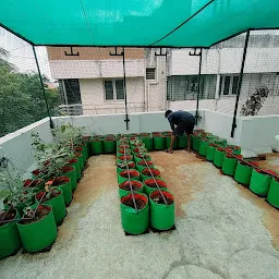 Chennai Terrace Gardening