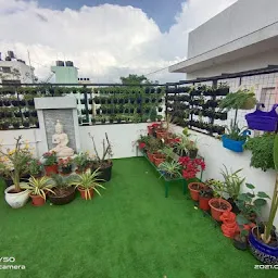 Chennai Terrace Gardening