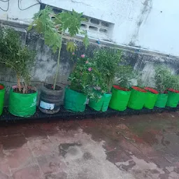 Chennai Terrace Gardening