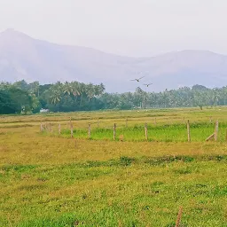 CHERUNGOTUKAVU TEMPLE