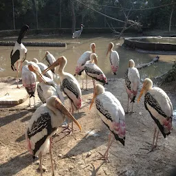 Chhatbir Zoo