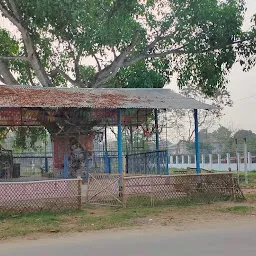 Chhath Puja Worship Site
