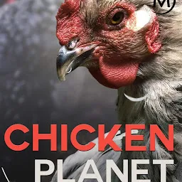 Chicken Planet