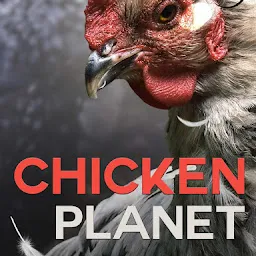 Chicken Planet