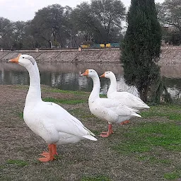 Children's park, Topkhana Bazar, Ambala Cantt