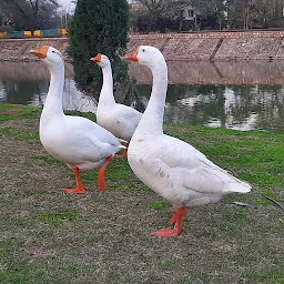 Children's park, Topkhana Bazar, Ambala Cantt