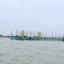 CHILIKA DOLPHIN BOATING