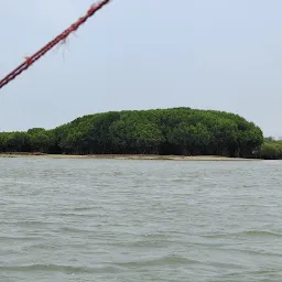 CHILIKA DOLPHIN BOATING