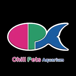 Chill Pets Aquarium