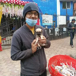 Chines's World Pet Shop