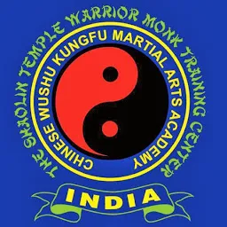 Chinese Wushu kungfu Martial Arts Academy