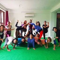 Chinmay Yoga Teacher Training in Dharamsala, India