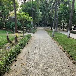 Chintoo Park