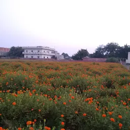 Chiraiya Veer Baba Temple