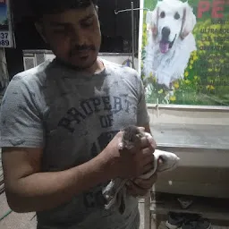 chnadigarh pet care and clinic