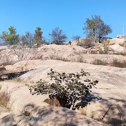 छोटे हनुमानजी का मंदिर