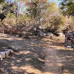 छोटे हनुमानजी का मंदिर