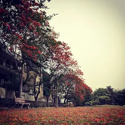 Chotu Ram Park