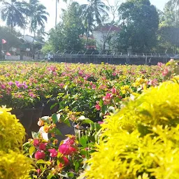 Chungath Gardens