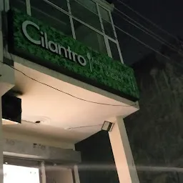 Cilantro-Restaurant & Cafe