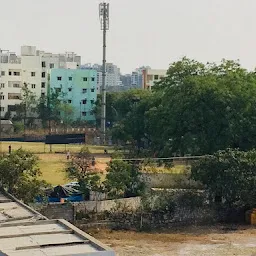 City Cricket Academy