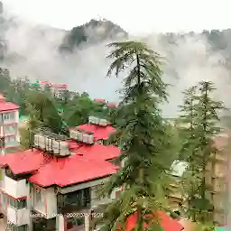 City Inn Hotel (Shimla )