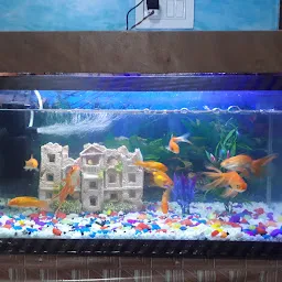 Classic Fish World & Pet Shop