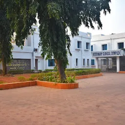 College Of Veterinary Science & Animal Husbandry