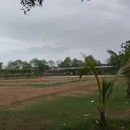 College Play Ground