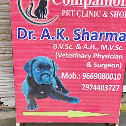 Companion Pet Clinic