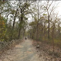 corbett park online