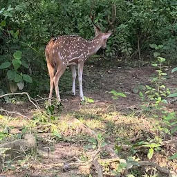 corbett park online