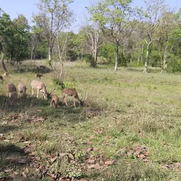 Corbett Tiger Reserve