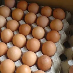 Country chicken eggs
