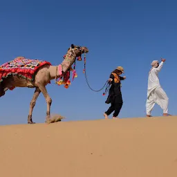 Crazy camel desert safari