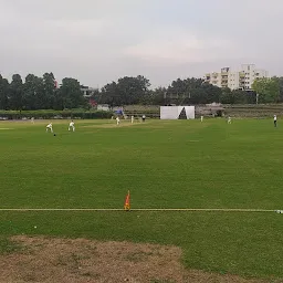 Cricket