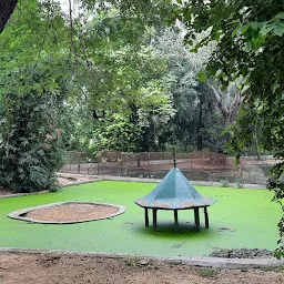 Crocodile Pond-2 Sayaji Zoo