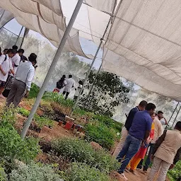CSIR-Central Institute of Medicinal and Aromatic Plants, Researc Centre, Hyderabad
