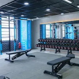 Cult Gym C Scheme