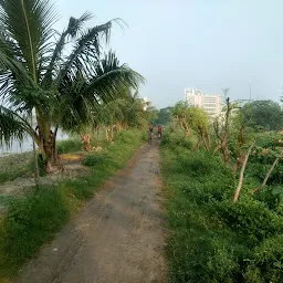 Cycle & Walk - The East Kolkata Wetlands