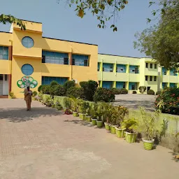 D.A.V. Public School, Anand Vihar, Burla