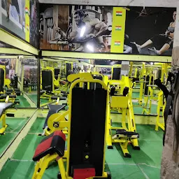 D Fitness Gym