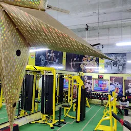 D Fitness Gym